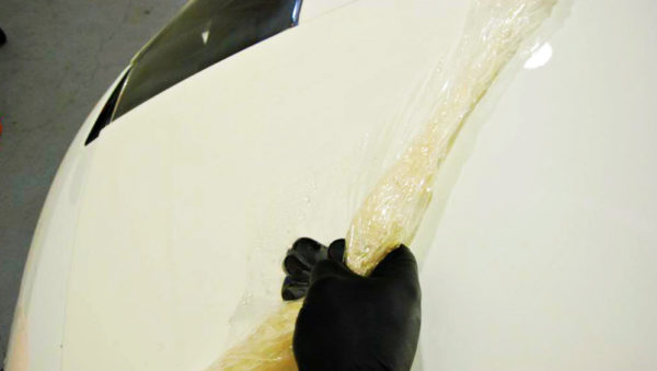 Lamborghini PPF Yellowing Removal