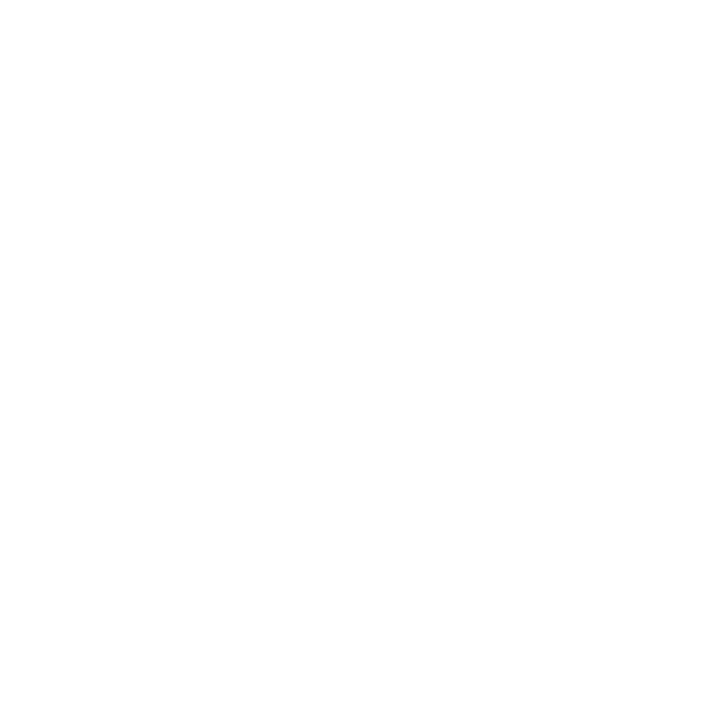 Ceramic Pro Technology PPF