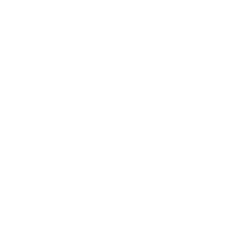 Advanced Tint Technology