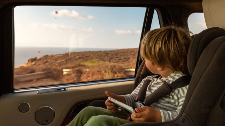 Load Rejection Test 2026 Window Tint Laws: State-by-State Guide